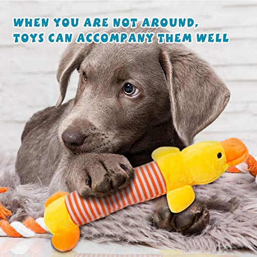 Indestructible Dog Rope Toys for Small Puppies