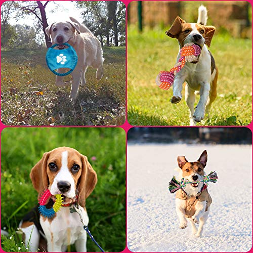 Indestructible Dog Rope Toys for Small Puppies