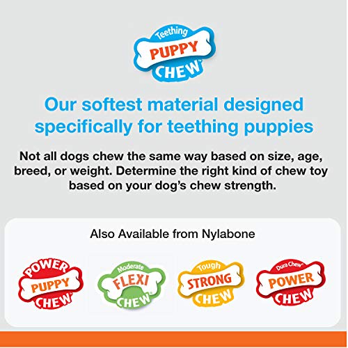 Nylabone Puppy Teething Toy, Chicken Flavour, Small