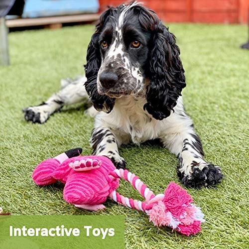 Dog Toy Bundle: Plush, Squeaky, Durable, Interactive - 5 Pack