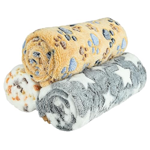 Paw Star Print Dog Blanket, XL