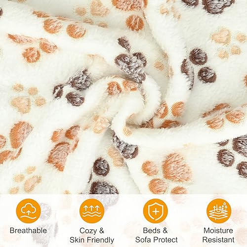 Paw Star Print Dog Blanket, XL