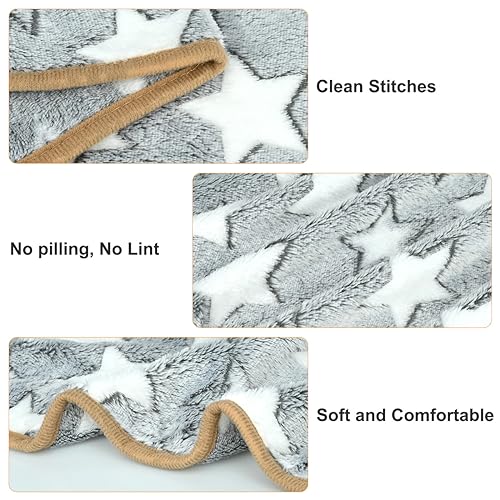 Paw Star Print Dog Blanket, XL