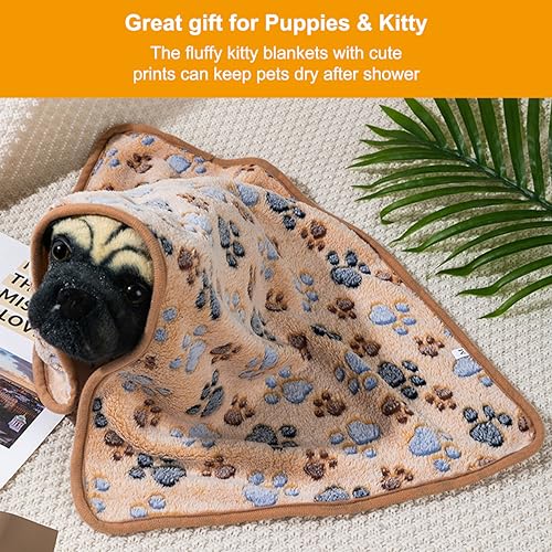 Paw Star Print Dog Blanket, XL