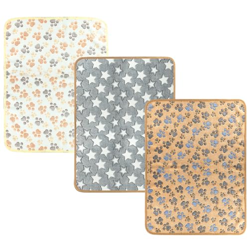 Paw Star Print Dog Blanket, XL