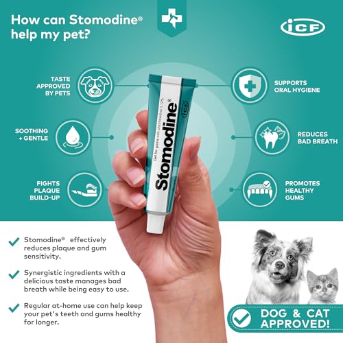 Stomodine® Dog Toothpaste Gel for Oral Health - 30ml