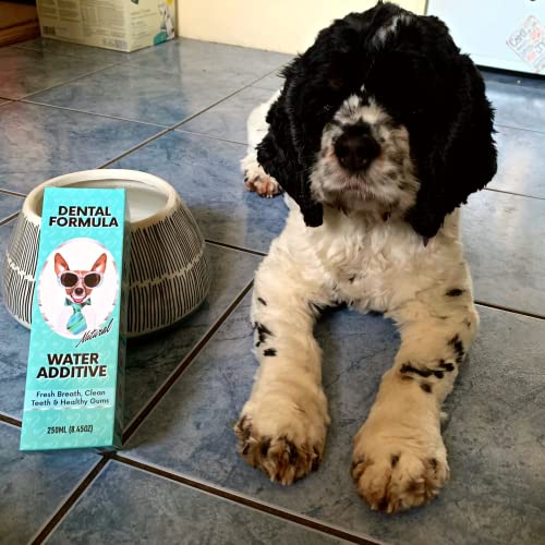 Dental Water Additive for Dogs & Cats - Clean Teeth & Fresh Breath