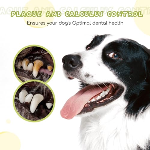 Nobleza Dog Toothbrush and Toothpaste Kit for Pet Oral Care