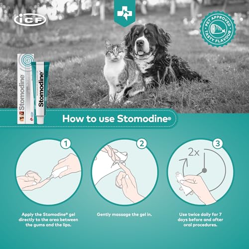 Stomodine® Dog Toothpaste Gel for Oral Health - 30ml