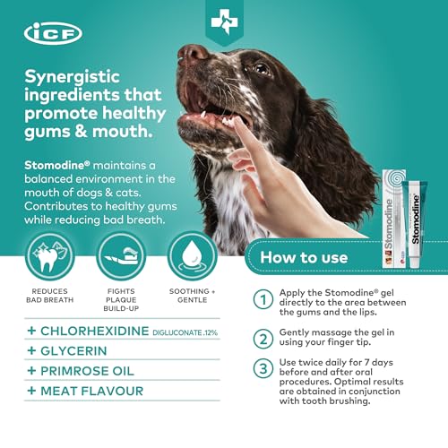 Stomodine® Dog Toothpaste Gel for Oral Health - 30ml