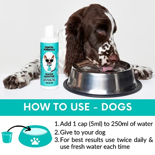 Dental Water Additive for Dogs & Cats - Clean Teeth & Fresh Breath