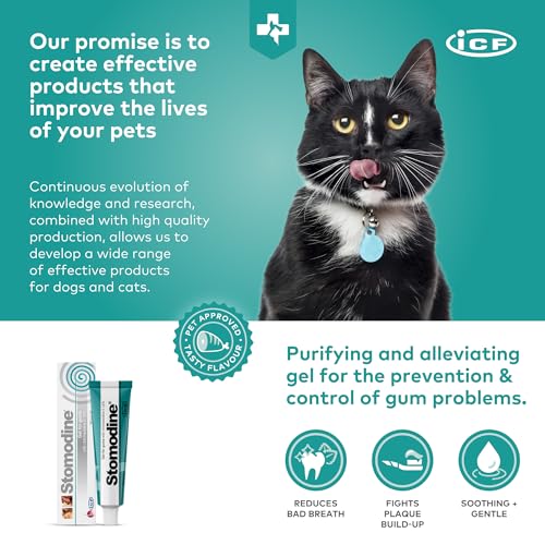 Stomodine® Dog Toothpaste Gel for Oral Health - 30ml
