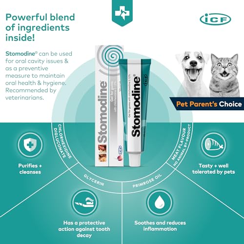 Stomodine® Dog Toothpaste Gel for Oral Health - 30ml