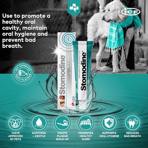 Stomodine® Dog Toothpaste Gel for Oral Health - 30ml