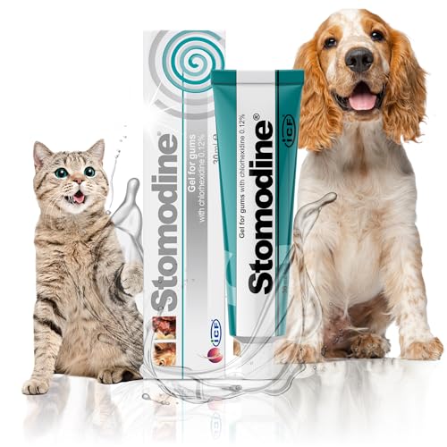 Stomodine® Dog Toothpaste Gel for Oral Health - 30ml