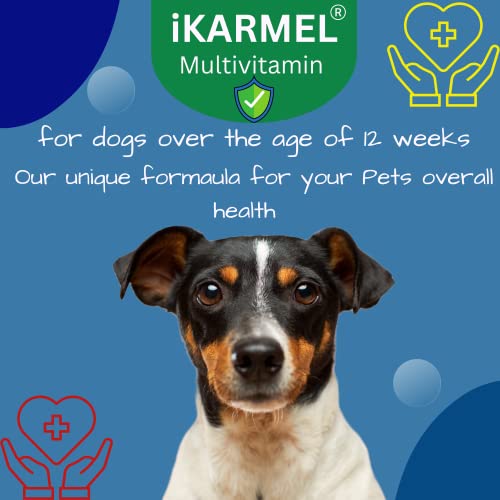 Doggy Dailies | Skin & Coat Supplements | Joint Support