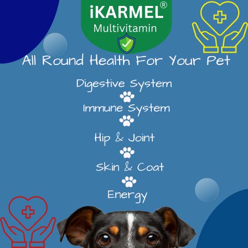 Doggy Dailies | Skin & Coat Supplements | Joint Support