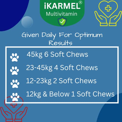 Doggy Dailies | Skin & Coat Supplements | Joint Support