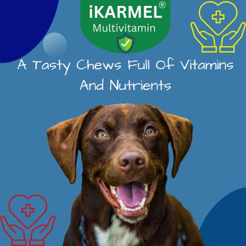Doggy Dailies | Skin & Coat Supplements | Joint Support