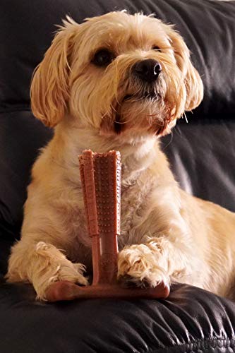 Peanut Butter T-Bone Chew Toy for Medium Dogs