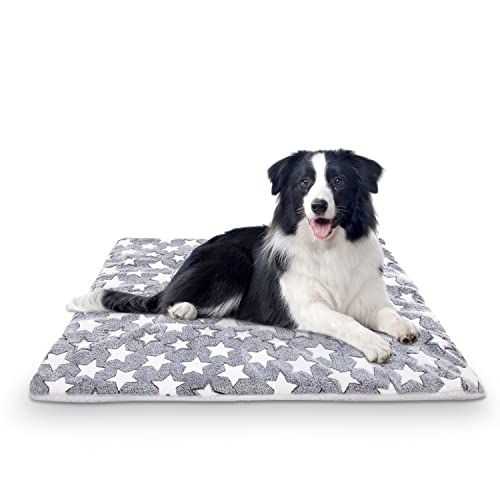 Soft Fleece Dog Bed Mat, Reversible, Warm, Medium