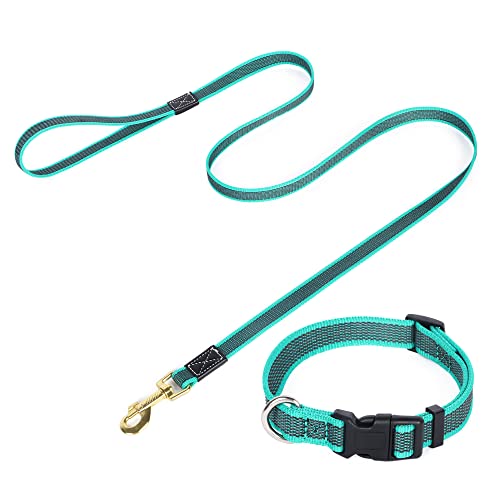 Dog Collar and Leash Set, 1.5m - Ideal for all Dogs!