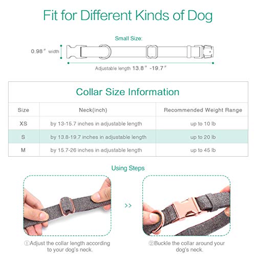 Adjustable 2m Dog Leash and Collar Set
