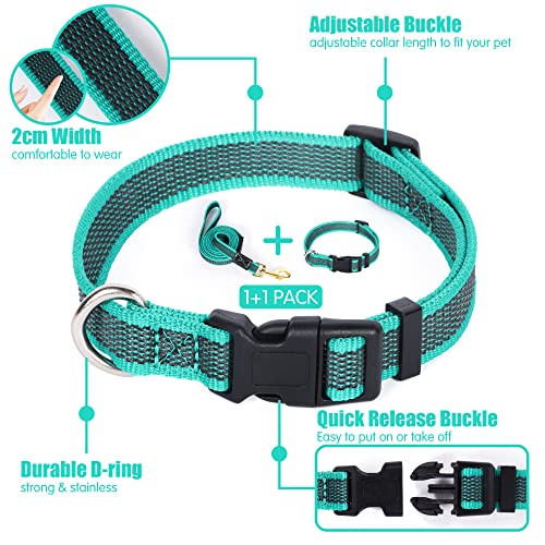 Dog Collar and Leash Set, 1.5m - Ideal for all Dogs!