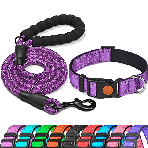 Reflective Dog Collar with Soft Neoprene Padding