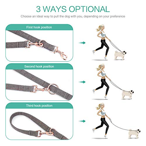 Adjustable 2m Dog Leash and Collar Set
