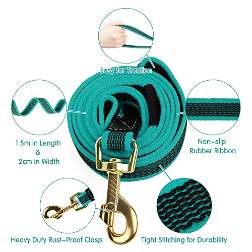 Dog Collar and Leash Set, 1.5m - Ideal for all Dogs!