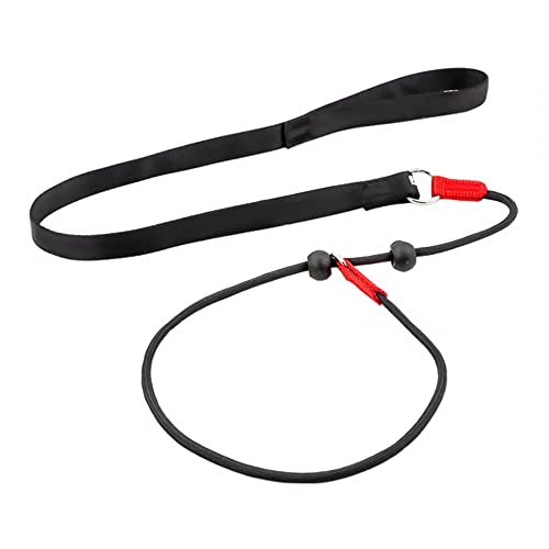 Nylon Dog Leash & Collar Set for Small-Medium Dogs