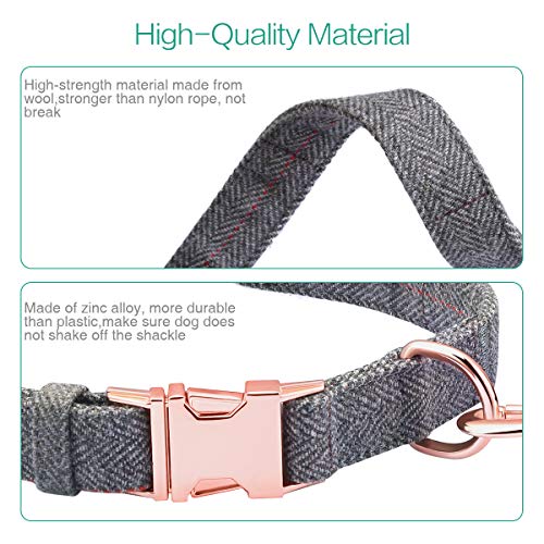 Adjustable 2m Dog Leash and Collar Set