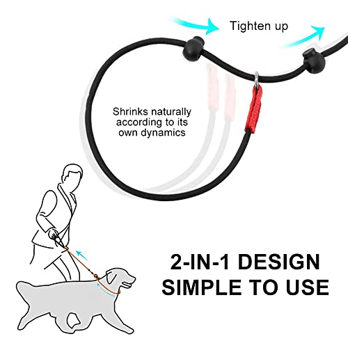 Nylon Dog Leash & Collar Set for Small-Medium Dogs