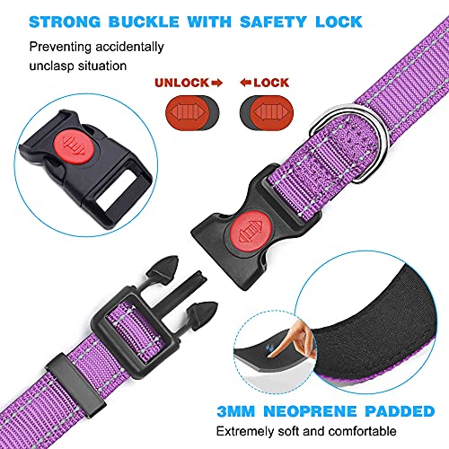 Reflective Dog Collar with Soft Neoprene Padding