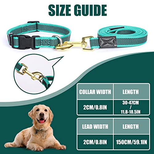 Dog Collar and Leash Set, 1.5m - Ideal for all Dogs!
