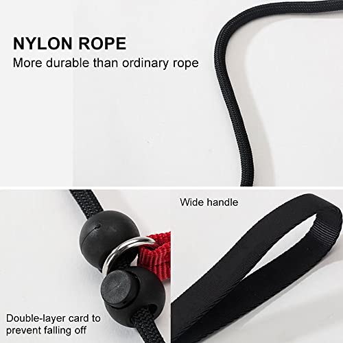 Nylon Dog Leash & Collar Set for Small-Medium Dogs