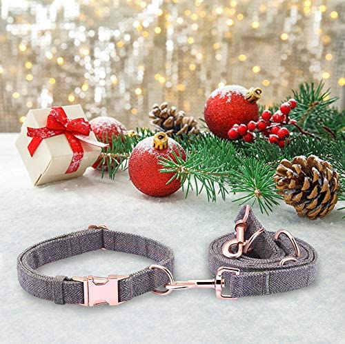 Adjustable 2m Dog Leash and Collar Set