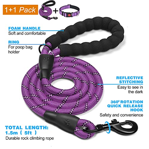Reflective Dog Collar with Soft Neoprene Padding