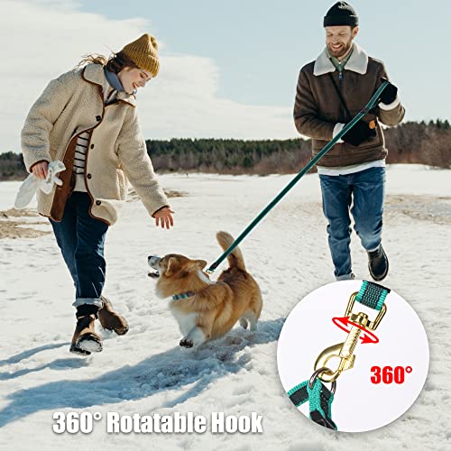 Dog Collar and Leash Set, 1.5m - Ideal for all Dogs!