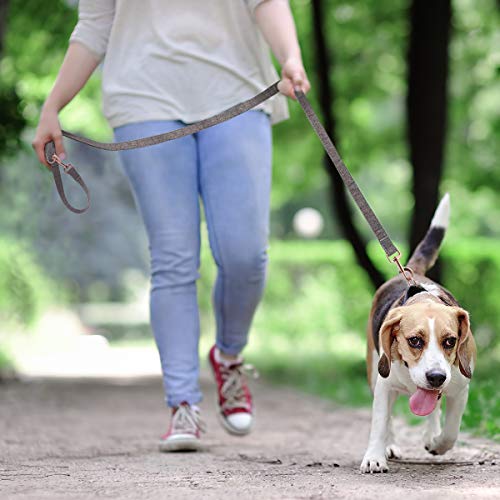 Adjustable 2m Dog Leash and Collar Set