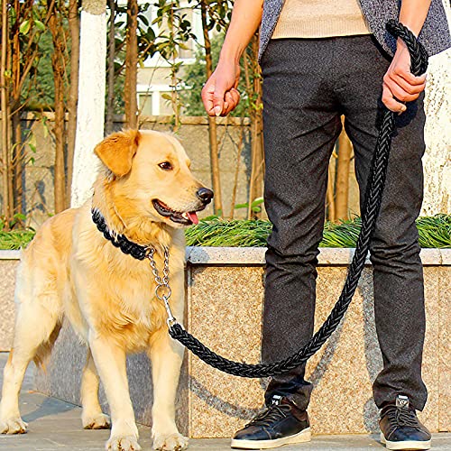 Durable Braided Dog Leash and Collar Set