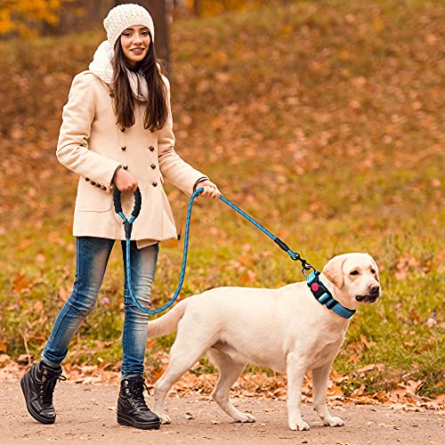 Reflective Dog Collar with Soft Neoprene Padding