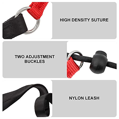 Nylon Dog Leash & Collar Set for Small-Medium Dogs