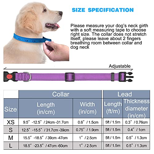 Reflective Dog Collar with Soft Neoprene Padding