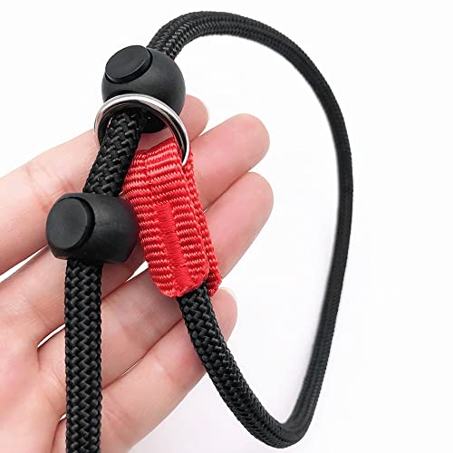 Nylon Dog Leash & Collar Set for Small-Medium Dogs