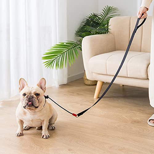 Nylon Dog Leash & Collar Set for Small-Medium Dogs