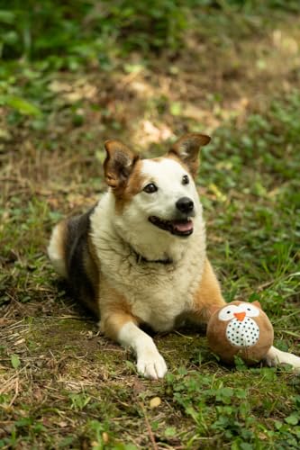 Petface Owl Plush Ball Toy for Dogs