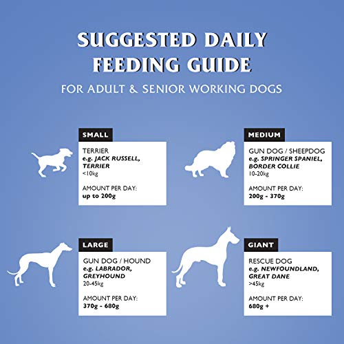 Dr John Silver Dog Food - Chicken with Vegetables - Complete Biscuits - Senior and Adult