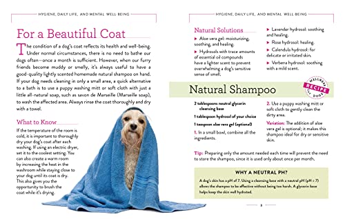 Dog Wellness: Health, Hygiene & Happiness Guide